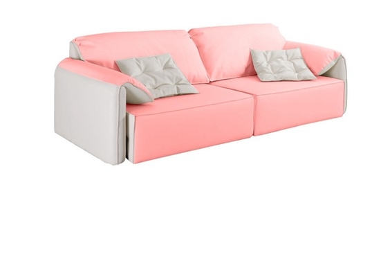 BN Minimalist Elephant Ear Leather Sofa Bed Living Room Smart Sofa Bed with Telescopic Function and Metal Skeleton