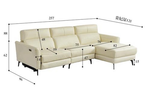 BN Modern Minimalist Functional Sofa with Creative and Smart Design Recliner Sofa Electric Lift Sofa Function Recliner