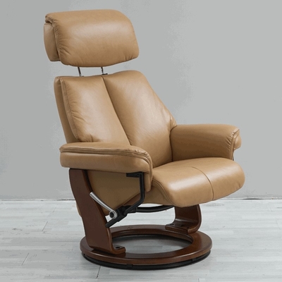 BN Moxibustion Health Sofa Chair Function Recliner Chair Sitting Reclining Adjustable Rotatable Stretchable Sofa Chair