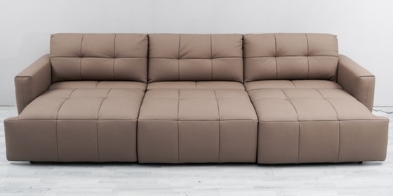 BN Electric Telescopic Function Sofa Bed Leather Sofa Dual-Purpose Electric Functional Sofa Bed Recliner Sofa